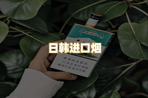日韩进口烟